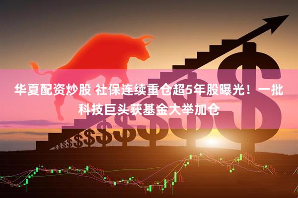华夏配资炒股 社保连续重仓超5年股曝光！一批科技巨头获基金大举加仓