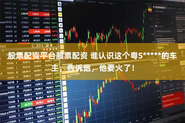 股票配资平台股票配资 谁认识这个粤S*****的车主，告诉他，他要火了！