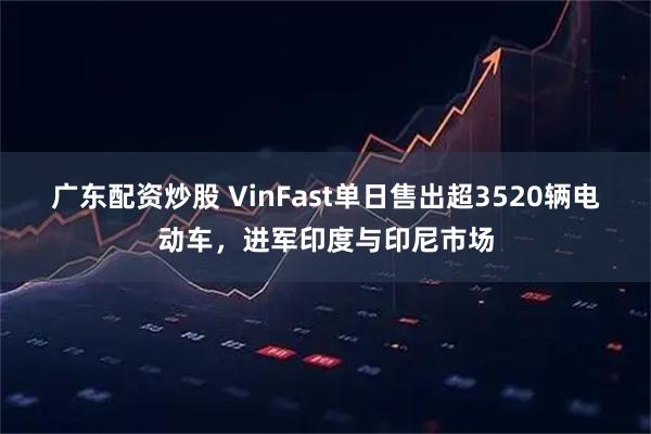 广东配资炒股 VinFast单日售出超3520辆电动车，进军印度与印尼市场